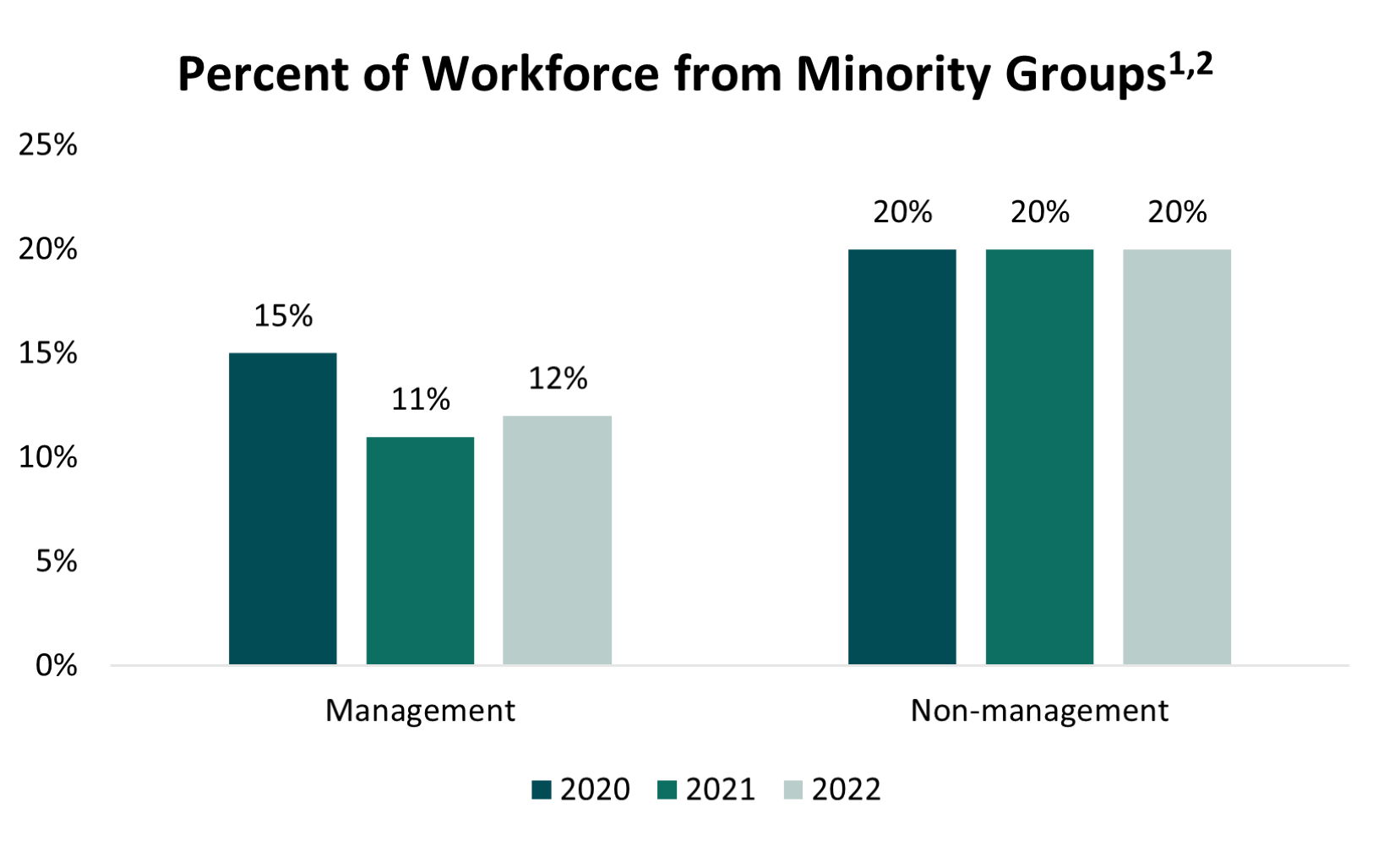 Workforce in Minority Groups 2022