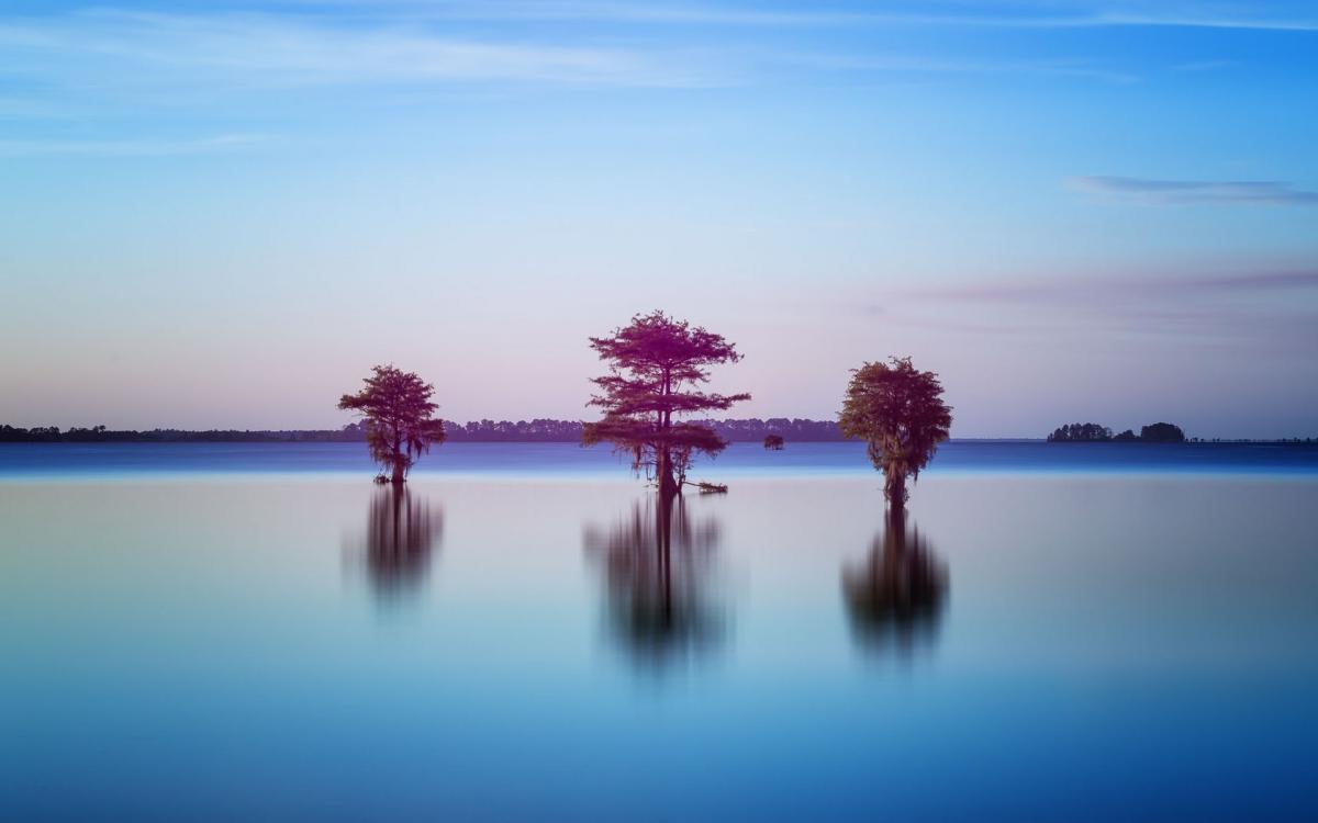Test Image