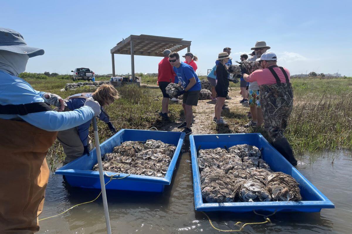 Genesis employees working in the Bay